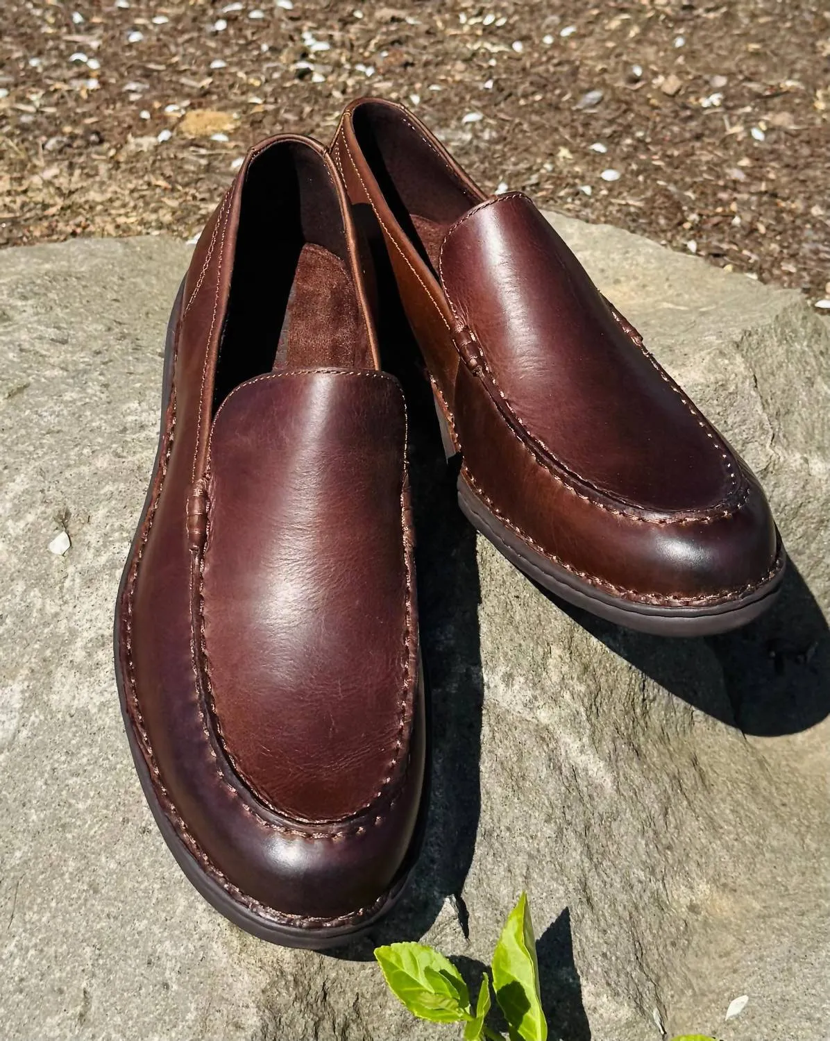 Men's Thaton Loafer Shoes In Brown