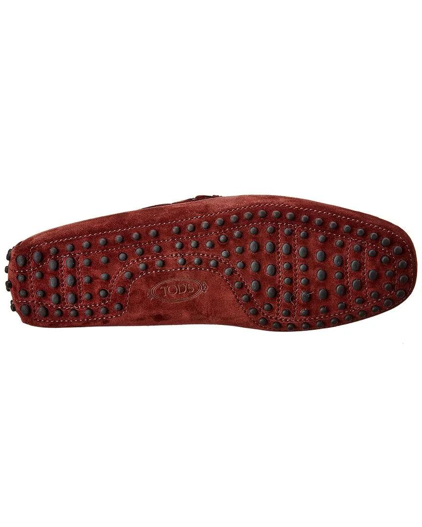 TODs Gommino Suede Moccasin