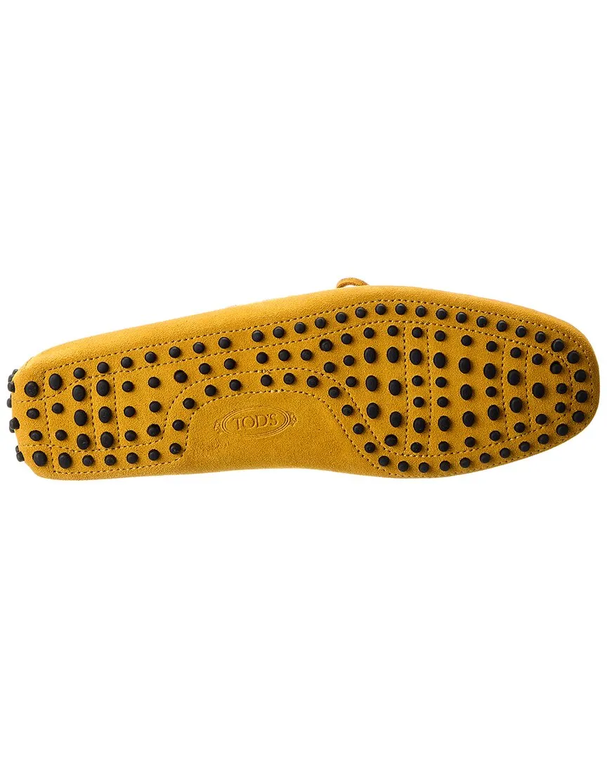 TODs New Gommino Suede Loafer